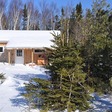 The Sleeping Moose Cottage Birch Plain Exterior foto