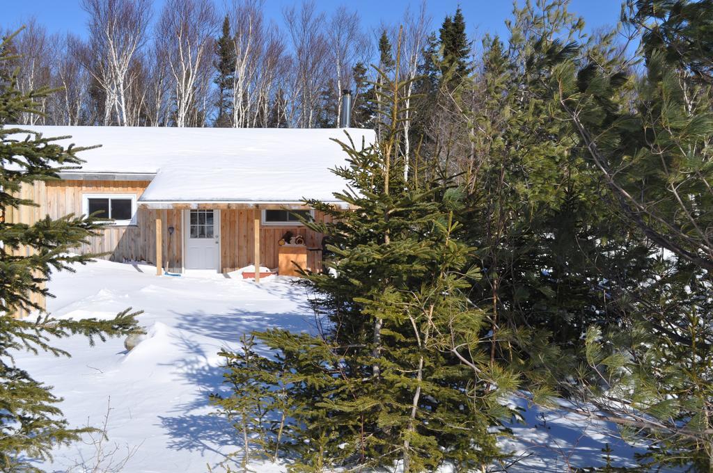 The Sleeping Moose Cottage Birch Plain Exterior foto