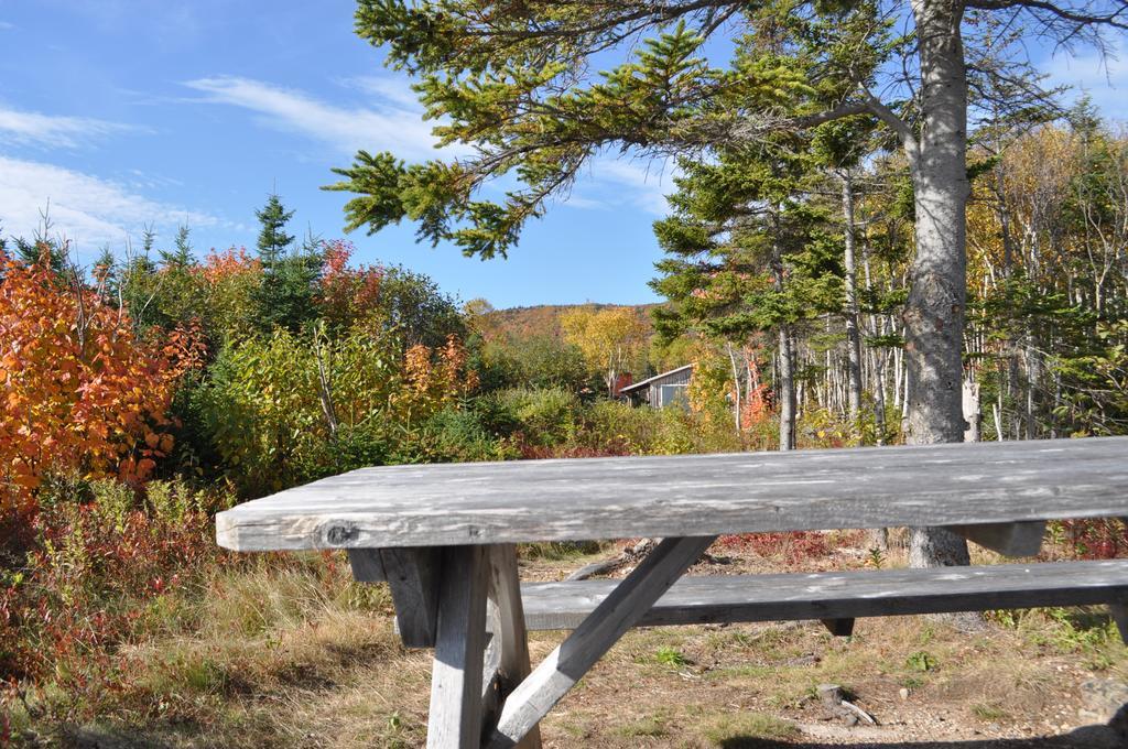 The Sleeping Moose Cottage Birch Plain Exterior foto