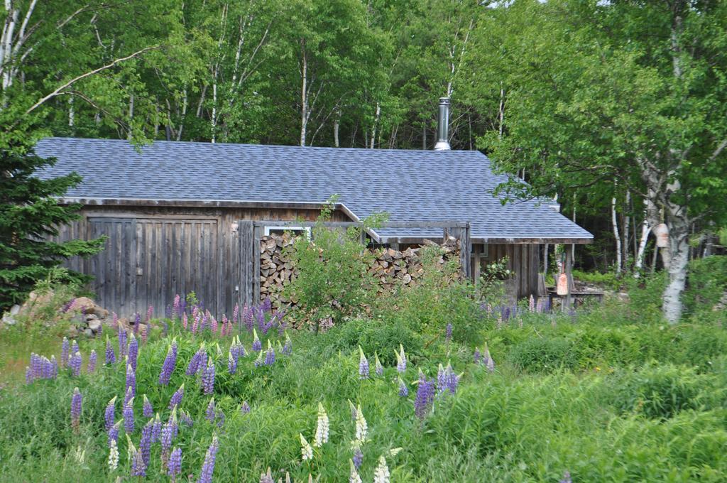 The Sleeping Moose Cottage Birch Plain Exterior foto