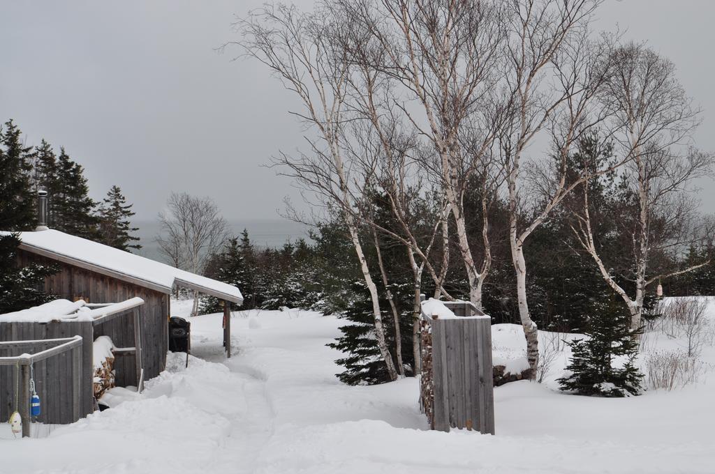The Sleeping Moose Cottage Birch Plain Exterior foto