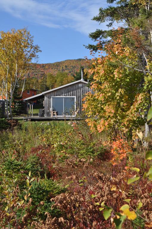 The Sleeping Moose Cottage Birch Plain Exterior foto