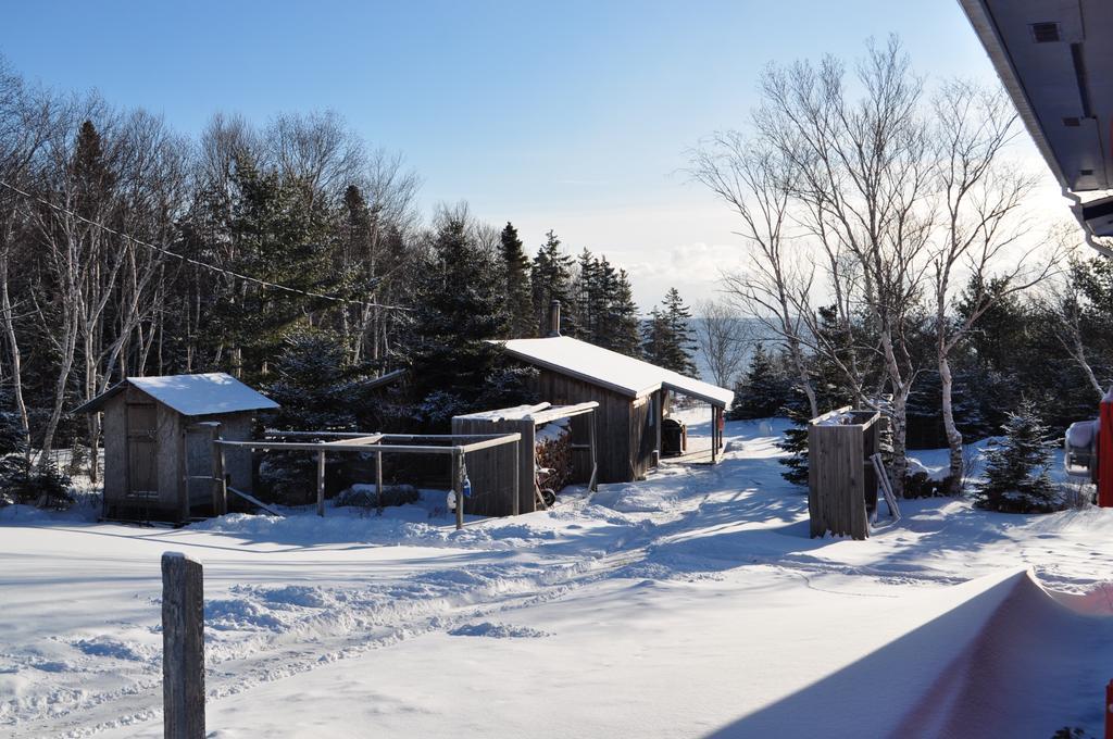 The Sleeping Moose Cottage Birch Plain Exterior foto